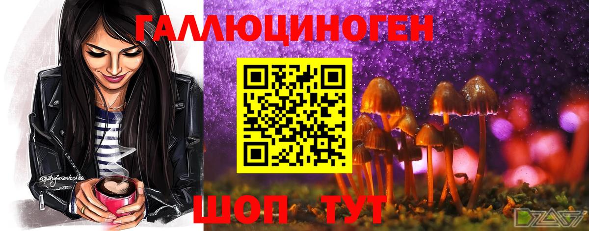 Кисловодск  Галлюциногенные грибы Magic Shrooms  Вход с VPN 